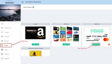 Snowfly Prizes