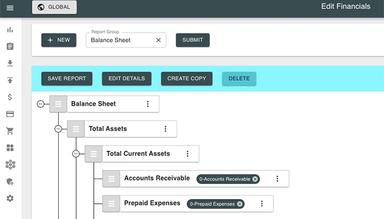 SoftLedger Custom Financial Reports