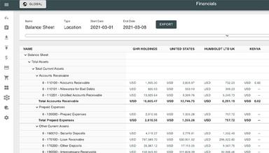 SoftLedger Generate Detailed Financial Reports