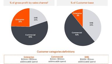 Softchoice Corporation Customer Categories