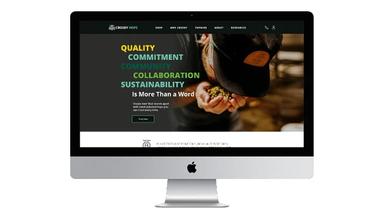 Square 2 Marketing Awards and Recognition