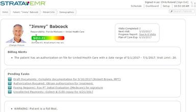 StrataPT Patient Demographics