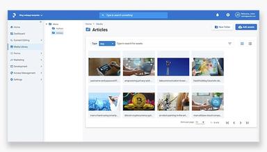 Penzle Streamline-digital-asset-management