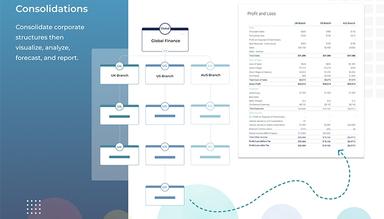 Consolidate corporate structures then visualize, analyze, forecast, and report.