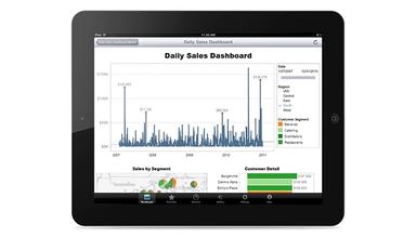 Tableau-iPad-Support