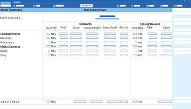 TallyPrime Software Stock Summary