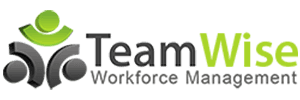 TeamWise