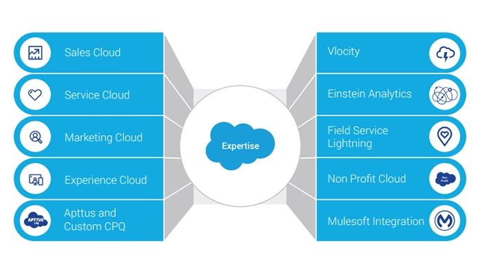 TechWize Our Salesforce Expertise