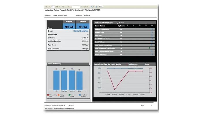 Teletrac Navman DIRECTOR analytics dashboard