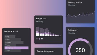 Lightdash Software Charts