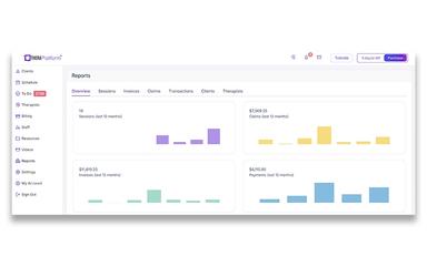 TheraPlatform Report Overview