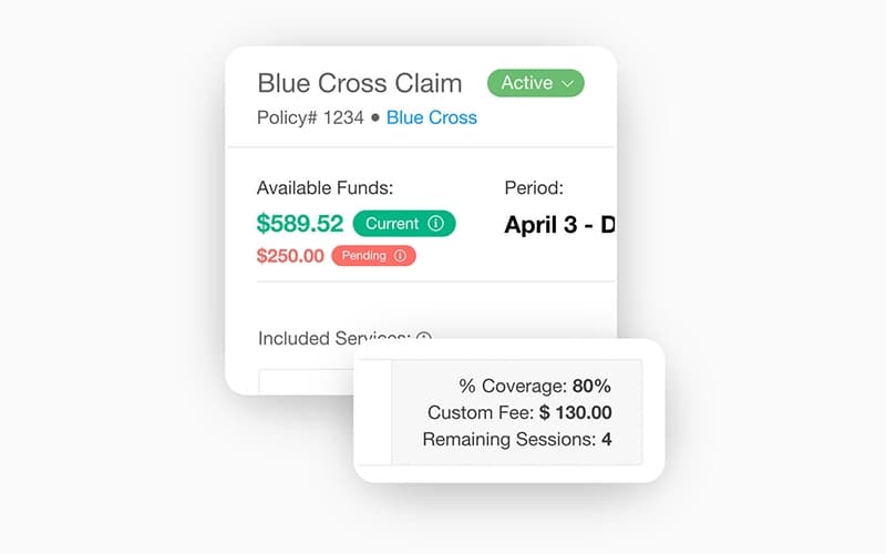 Therabyte Blue Cross Claim