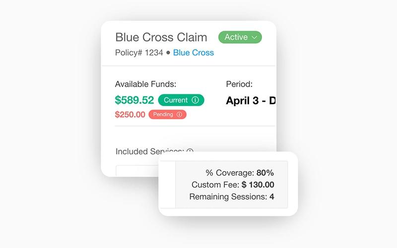 Therabyte Blue Cross Claim