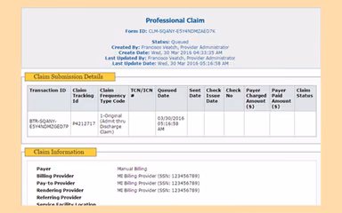 Therap Professional Claim