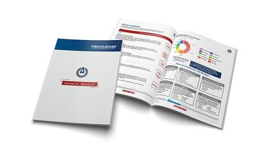 ThreatLocker Stopping Risks of Foreign Software