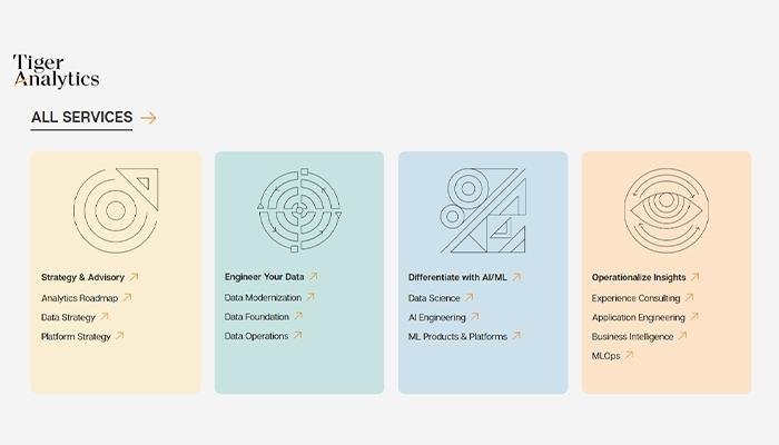 Tiger Analytics Services