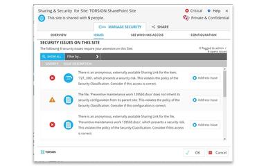 Torsion Security Issues