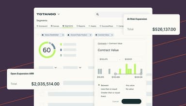 Totango Single Customer View