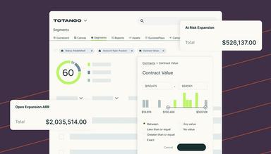 Totango Single Customer View
