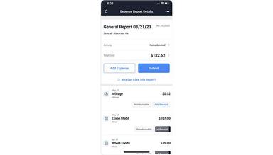 TravelBank Expense report