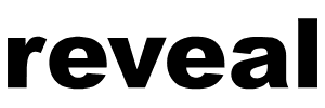 Trial Director