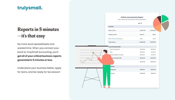 TrulySmall Accounting Report Generator