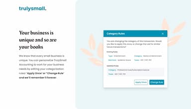 TrulySmall Accounting Category Rules Editor