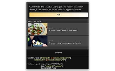 TwelveLabs Customize