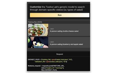 TwelveLabs Customize