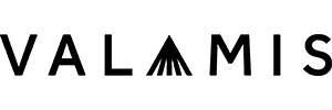 Valamis LXP