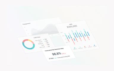 Velaris Report