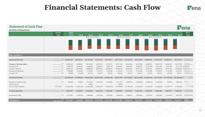 Vena Software Cash Flow Statement