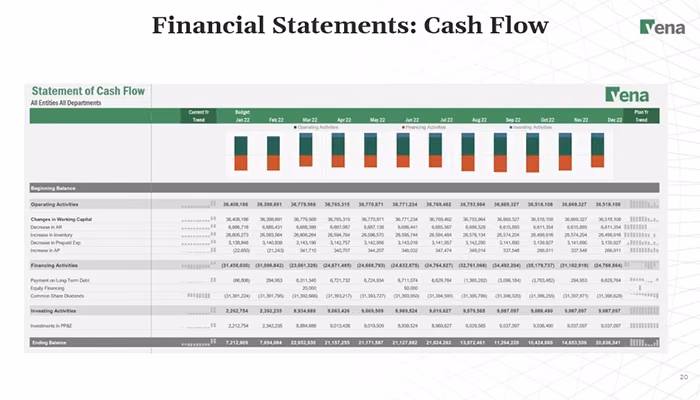 Vena Software Cash Flow Statement