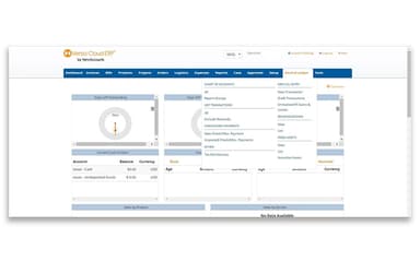 Versa Cloud ERP Chart of Accounts