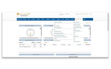 Versa Cloud ERP Chart of Accounts