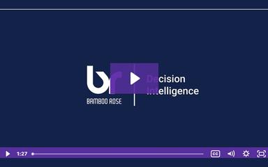 Decision Intelligence Demo
