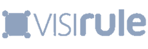 VisiRule