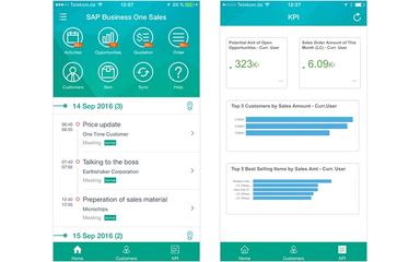 Vision33-SAP-Business-One-Sales