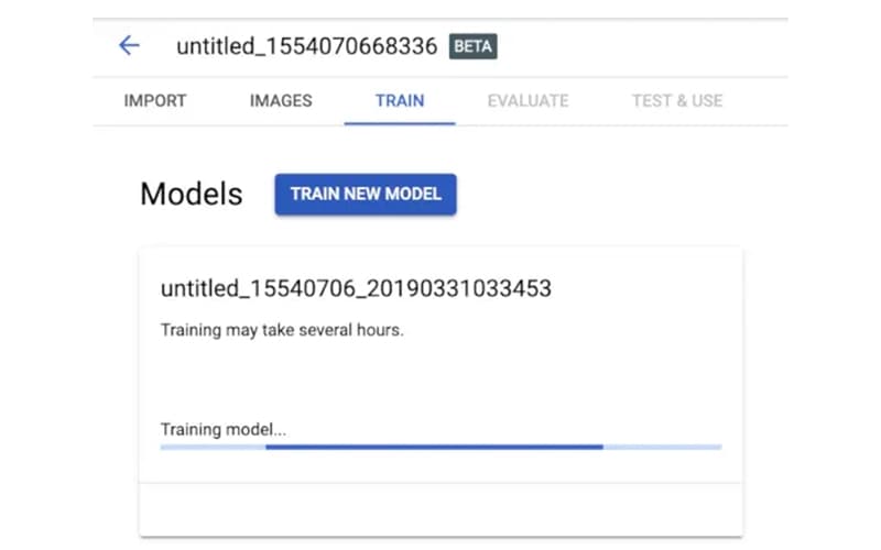 Google Vision Ai New Model Training