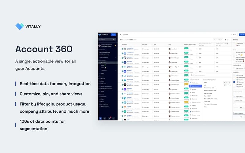 Vitally Account 360