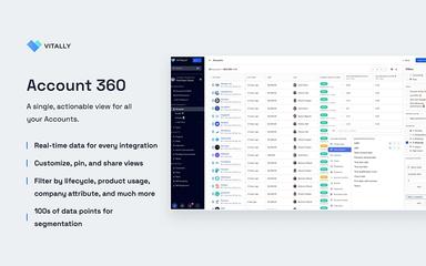 Vitally Account 360