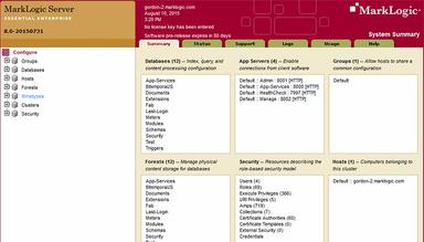 Marklogic Software Web Services with MarkLogic Server