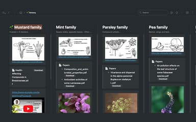 WorkFlowy Fracta Kanban Boards