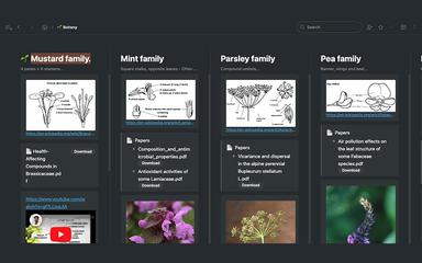 WorkFlowy Fracta Kanban Boards