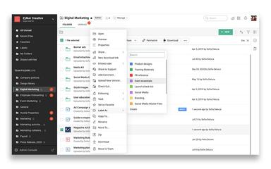 Zoho-WorkDrive Dashboard