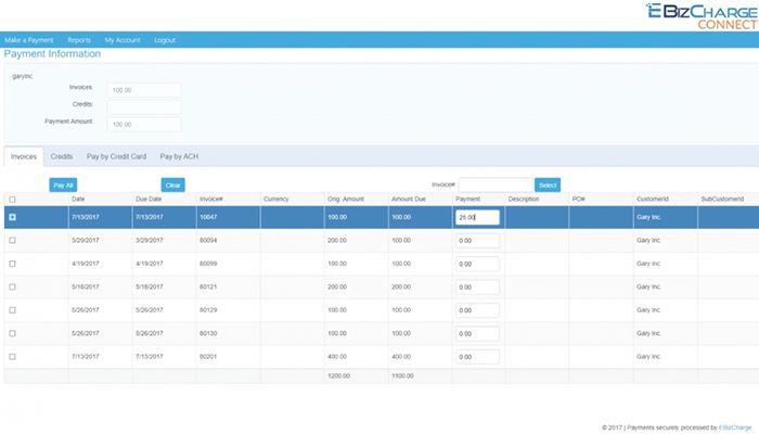 eBizCharge Track payments