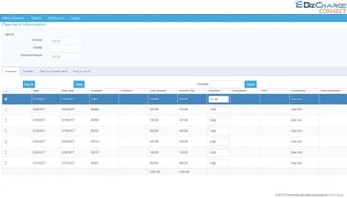 eBizCharge Track payments