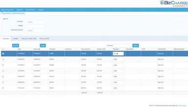 eBizCharge Track payments