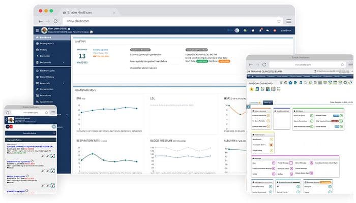 EHI EMR Main Page View