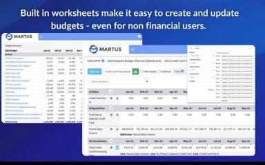 Martus Budget Summary